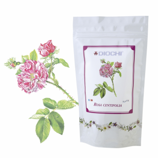 Rosa centifolia - čaj